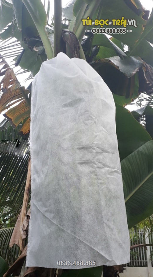 Túi chùm buồng chuối được sản xuất từ chất liệu vải không dệt