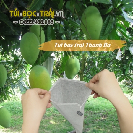 Bao bọc trái cây, túi bọc xoài Đài Loan chất lượng tốt hiệu Thanh Hà kích thước 20x27cm