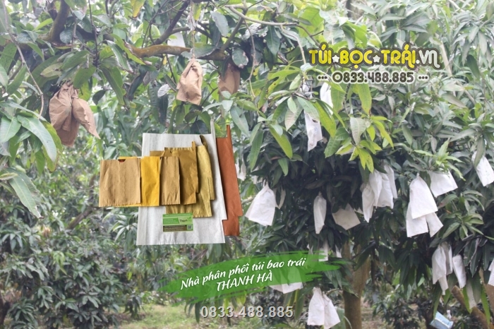 Túi giấy sáp bọc trái cây được phân phối bởi công ty Thanh Hà