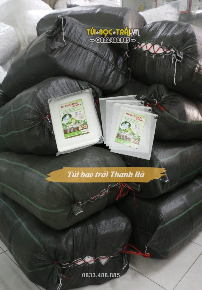 Số lượng túi vải bao trái lớn được sản xuất bởi công ty Thanh Hà
