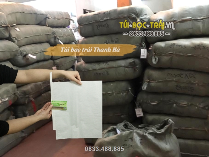 Số lượng lớn túi giấy bao trái có sẵn tại kho chứa hàng