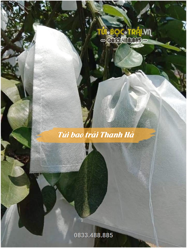 Túi bọc trái cây được công ty Thanh Hà sản xuất từ chất liệu vải nhập khẩu chuyên dụng