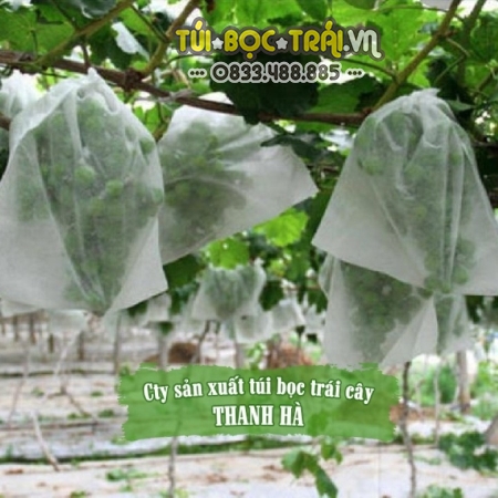 Túi bao trái bưởi Diễn chống tia UV, côn trùng gây hại Thanh Hà 25x30cm 
