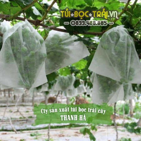 Túi bảo vệ trái cây chất lượng cao thương hiệu Thanh Hà kích thước 20x27cm