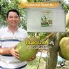 Túi bọc trái cây chống côn trùng Thanh Hà kích thước 50x70 dày dặn