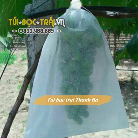 Túi bọc trái cây chống côn trùng 25x30cm vải không dệt có độ bền cao hiệu Thanh Hà