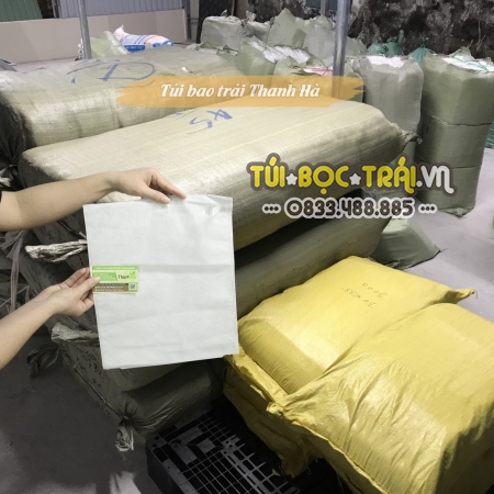 Túi bọc trái cây chống côn trùng kích thước 30x35cm chính hãng tại Thanh Hà