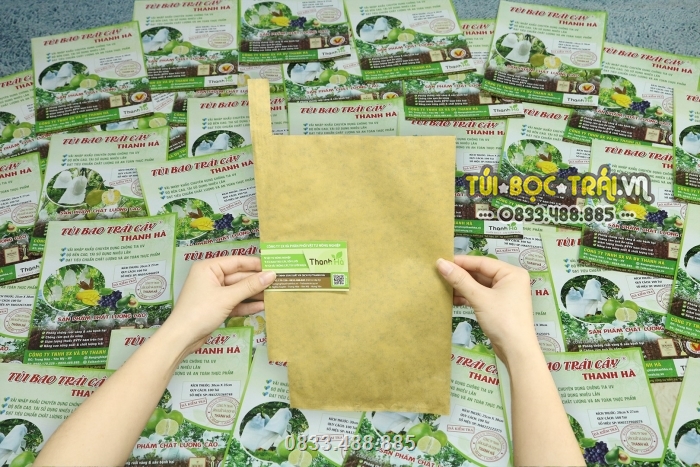 Túi giấy được nhập khẩu trực tiếp tại Đài Loan